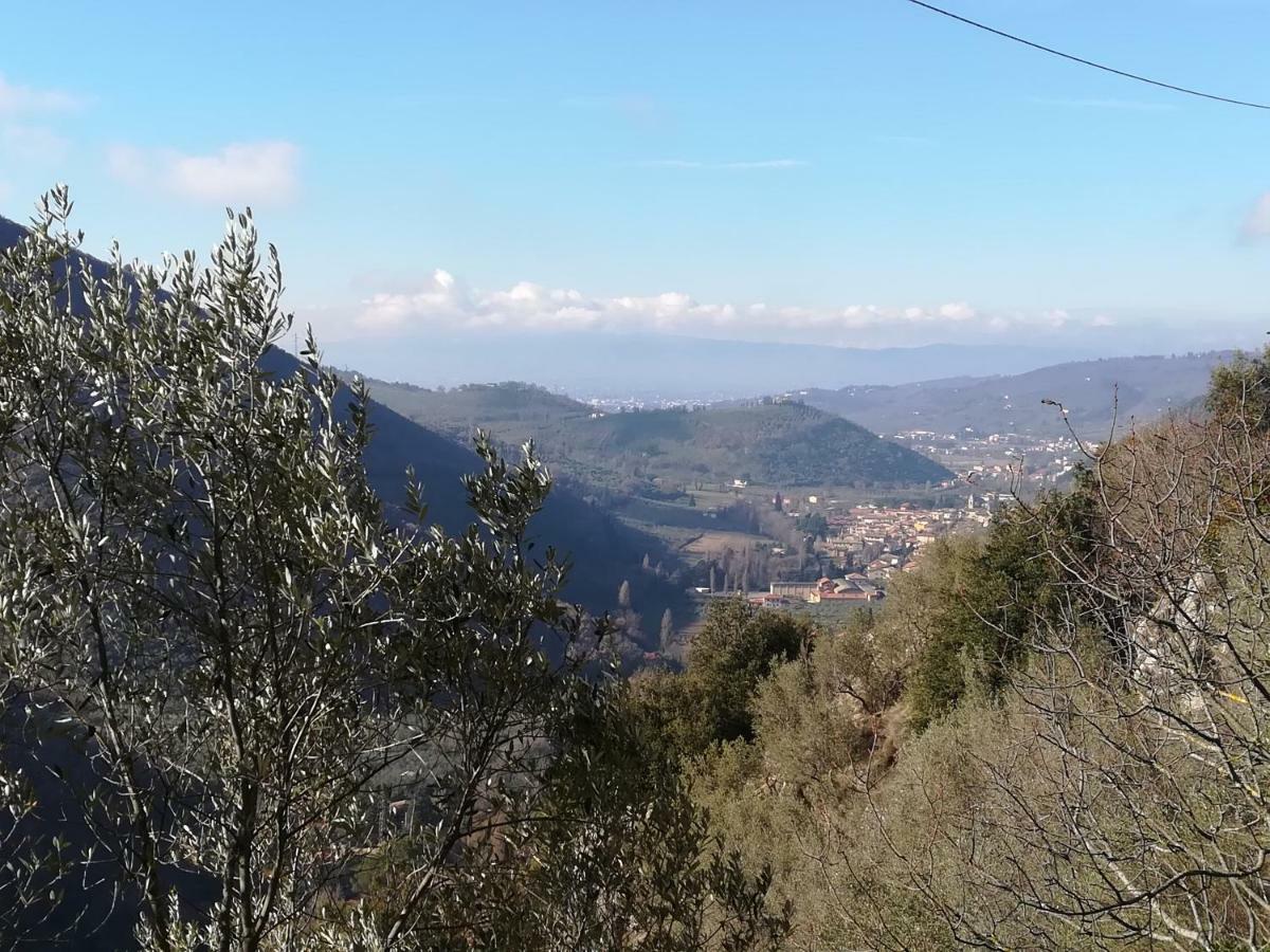 B&B Il Sentiero Nel Bosco Foligno Exterior photo